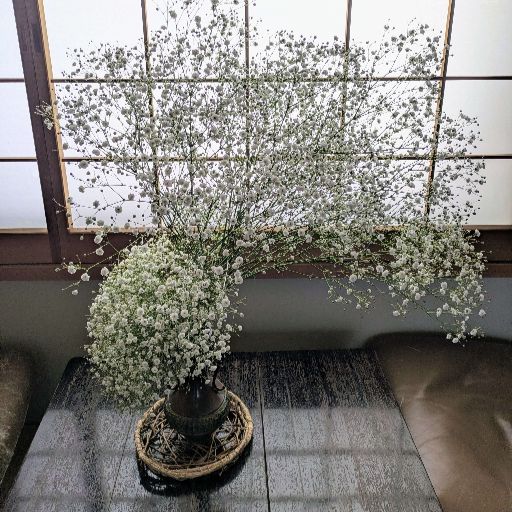 フィラフラワーの一種類のデザイン 脊黒講師作品