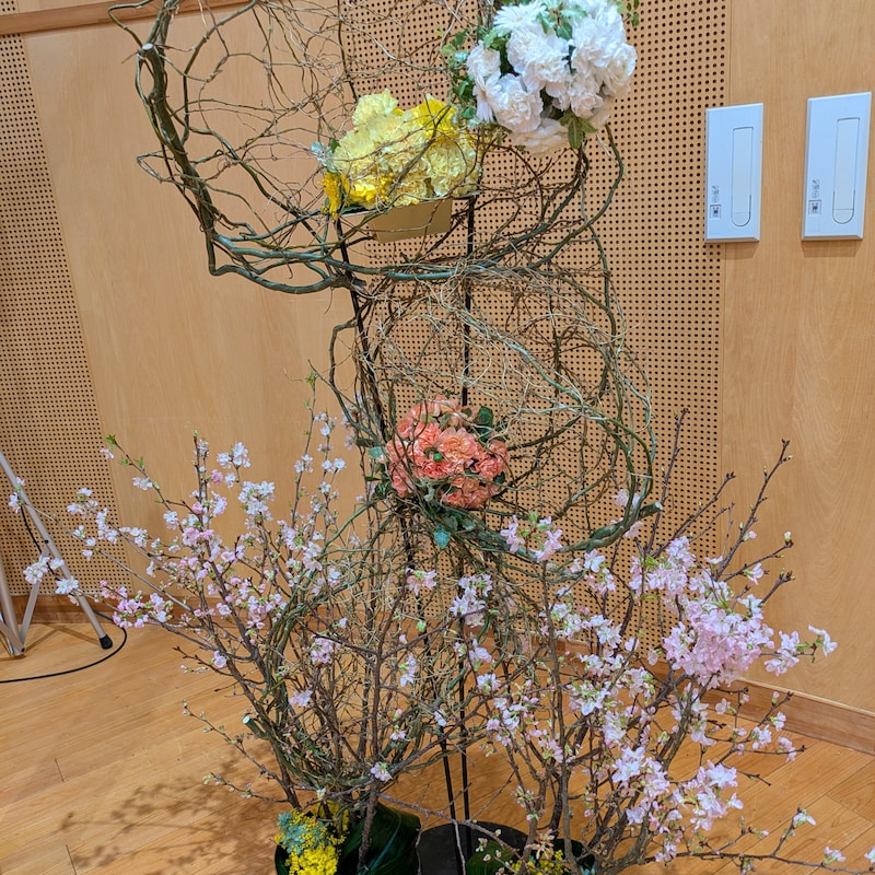 花の木保育園卒園の花