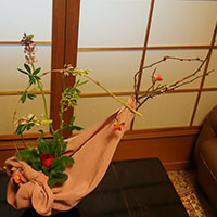 黒澤講師作品 植物と布風呂敷使用