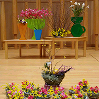 花の木保育園　１月お誕生会の花